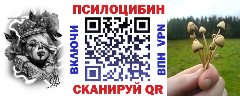 блэк спрут маркетплейс  мориарти состав  Псилоцибиновые грибы GOLDEN TEACHER  Электроугли 